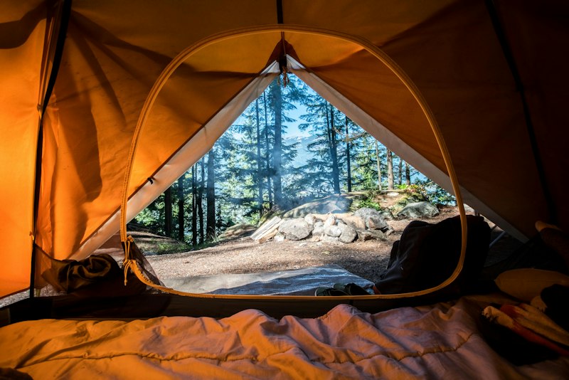 Video scene showing a view from a tent into a forest